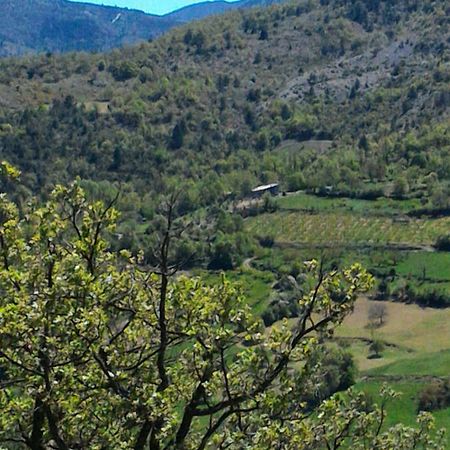La Roche-sur-le-Buis Ferme La Visteヴィラ エクステリア 写真